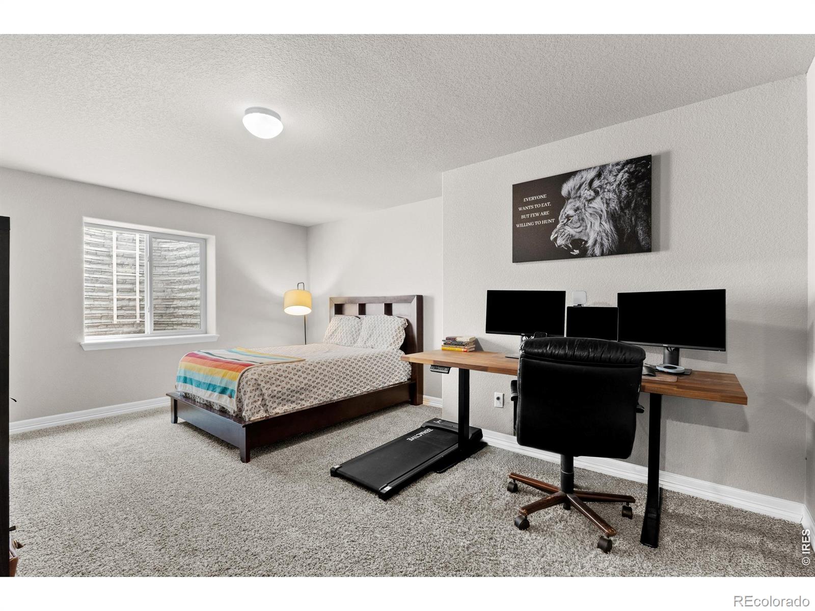 MLS Image #34 for 1430  larimer ridge parkway,timnath, Colorado