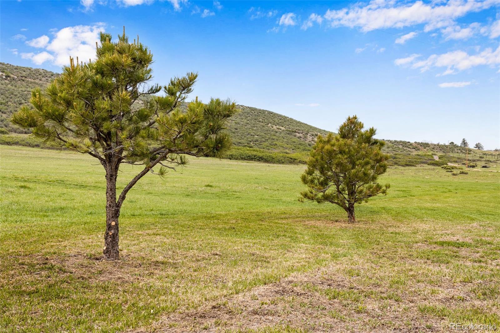 MLS Image #18 for 4727  arthur mae lane,laporte, Colorado