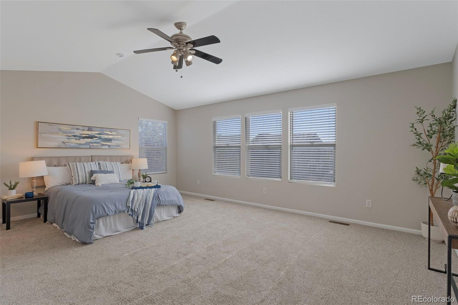 MLS Image #19 for 10121  altura street,commerce city, Colorado