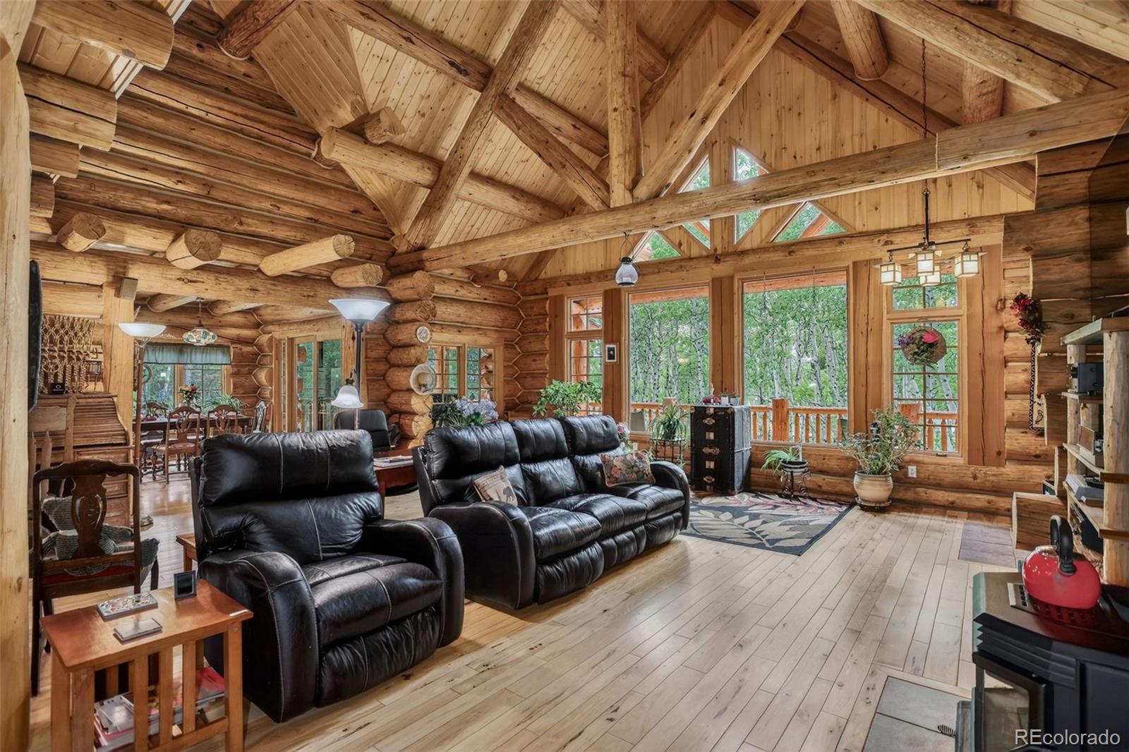 MLS Image #17 for 261  pine drive,black hawk, Colorado