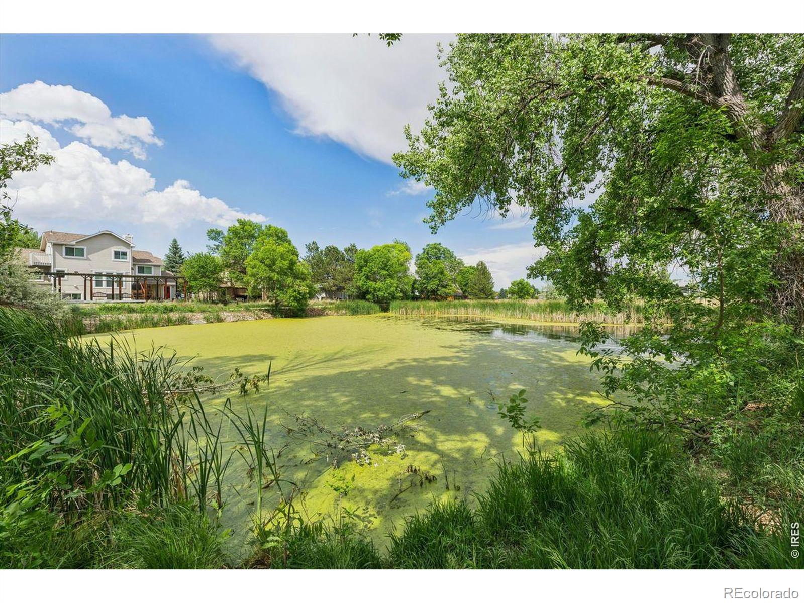MLS Image #13 for 6505  kalua road,boulder, Colorado