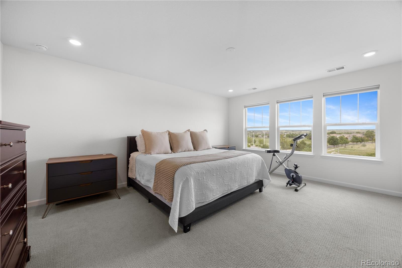 MLS Image #11 for 12548  bagley way,parker, Colorado