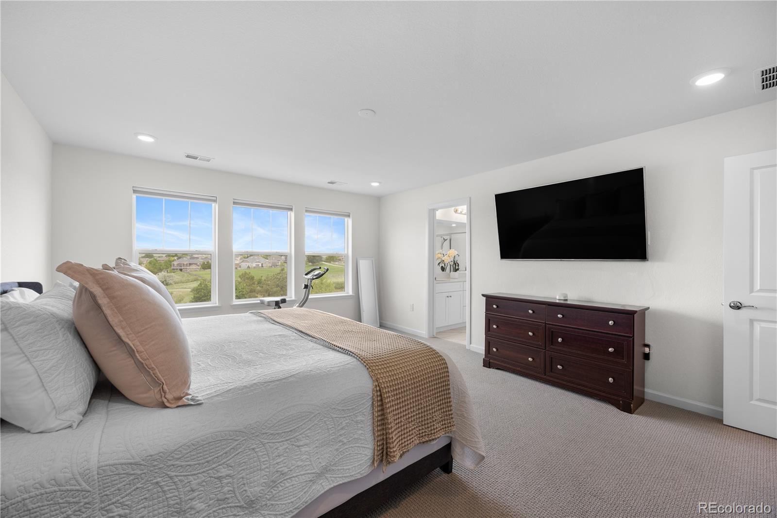 MLS Image #13 for 12548  bagley way,parker, Colorado