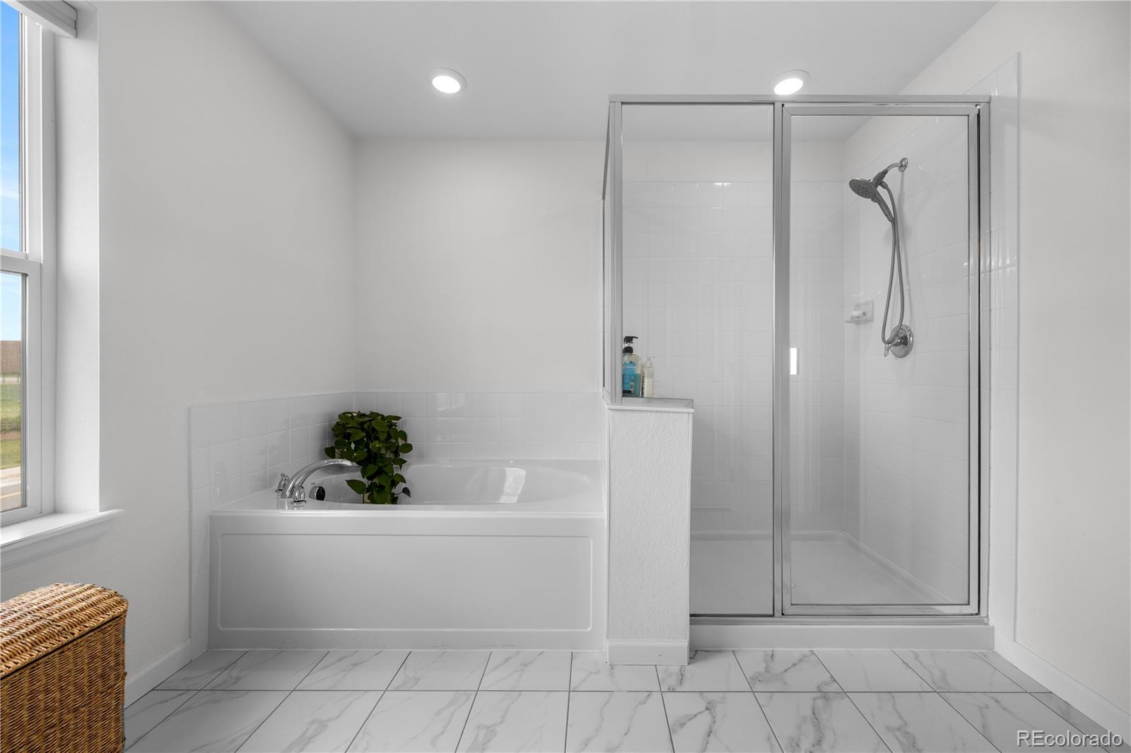 MLS Image #15 for 12548  bagley way,parker, Colorado