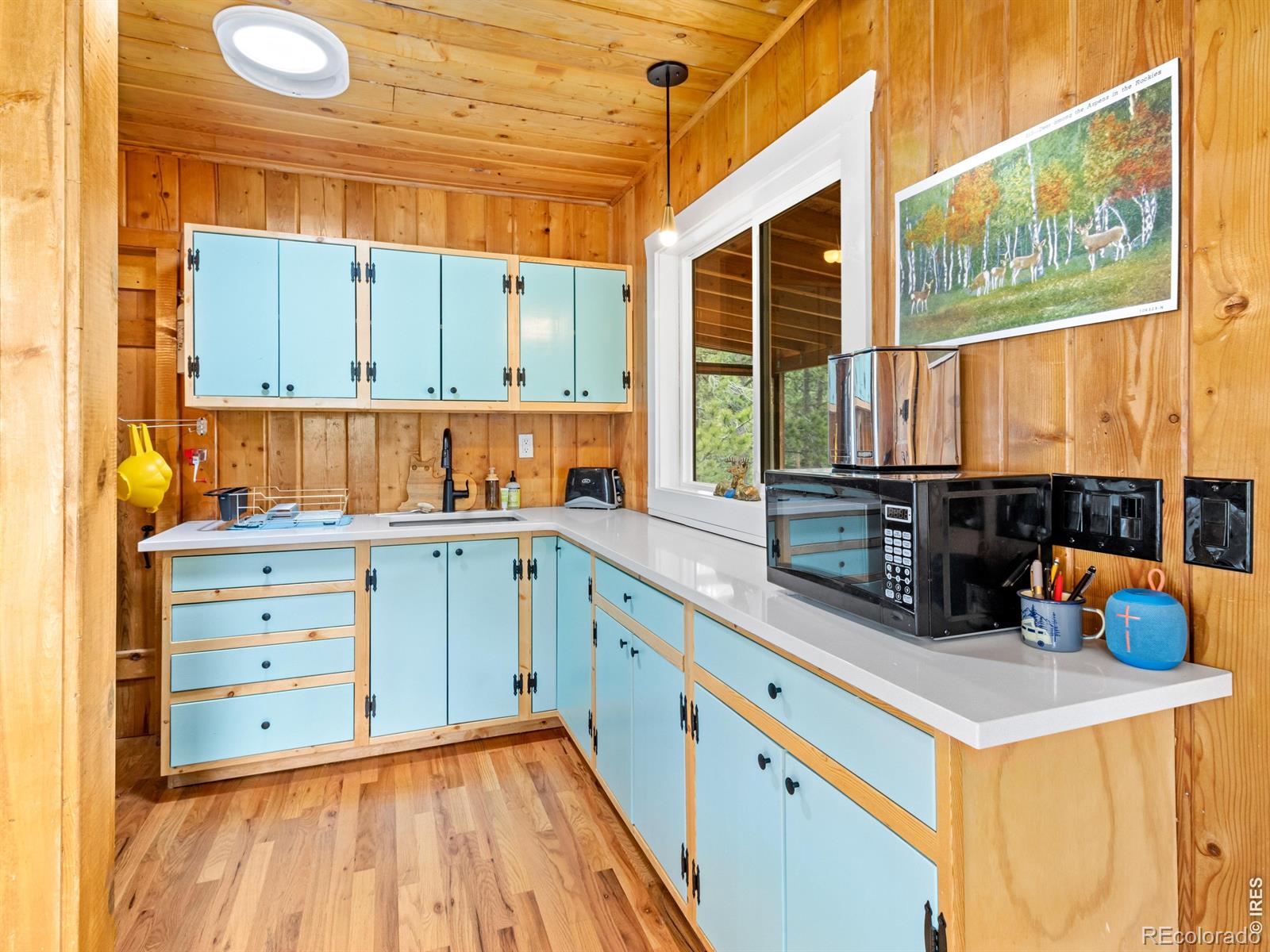 MLS Image #11 for 270 e ski road,allenspark, Colorado