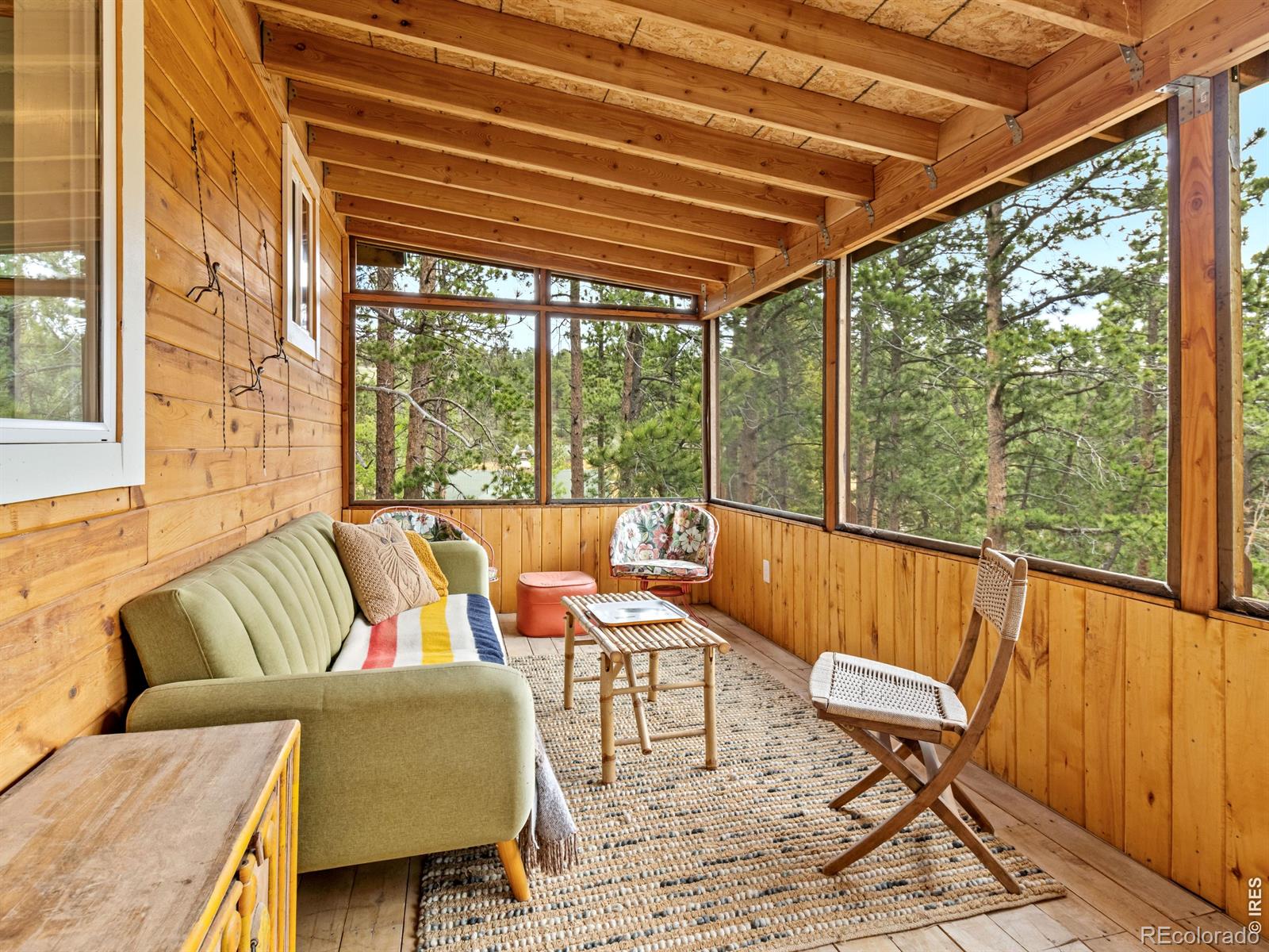 MLS Image #13 for 270 e ski road,allenspark, Colorado