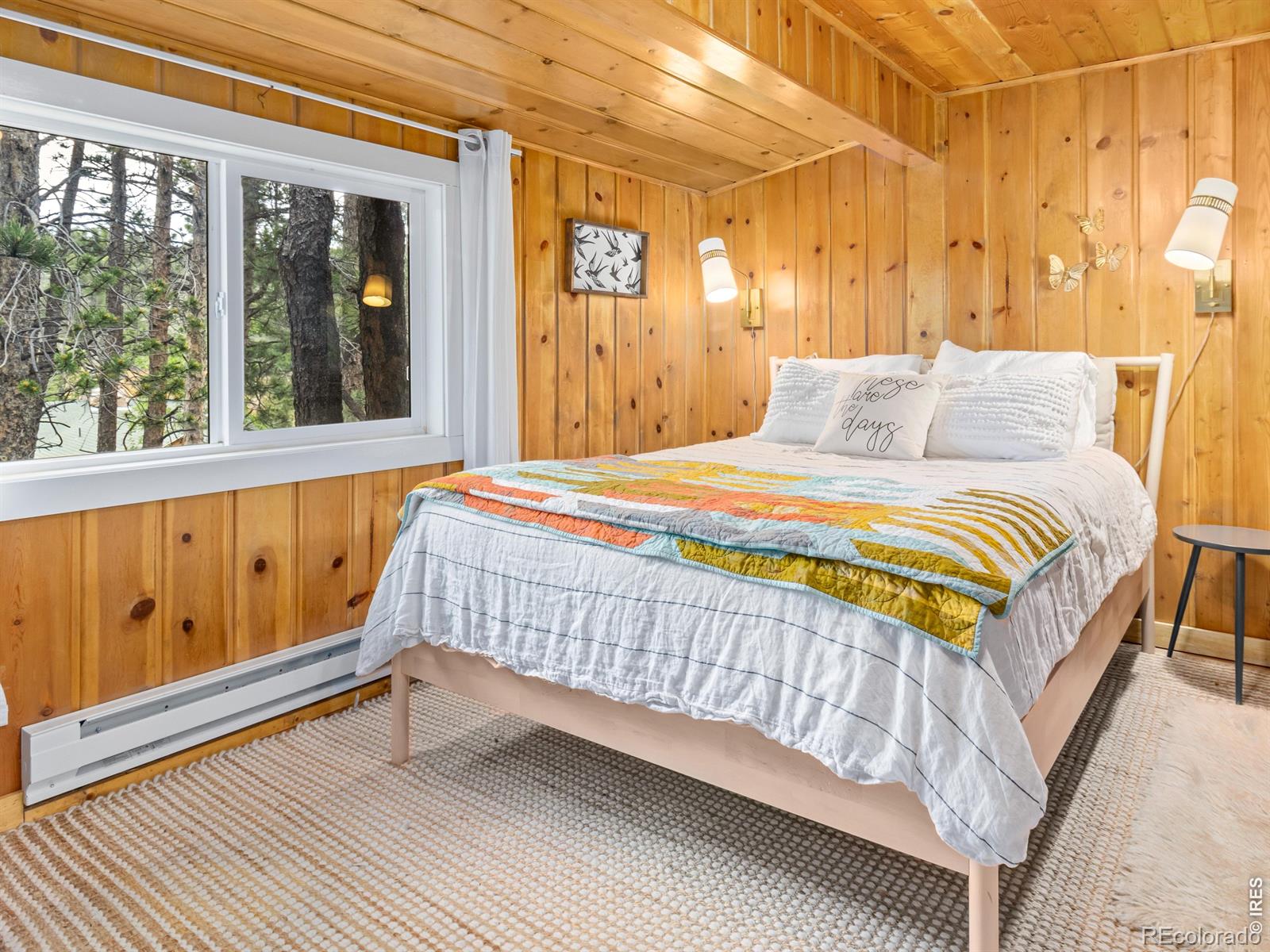 MLS Image #15 for 270 e ski road,allenspark, Colorado