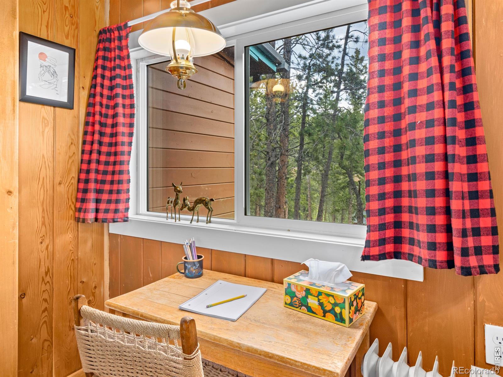 MLS Image #21 for 270 e ski road,allenspark, Colorado