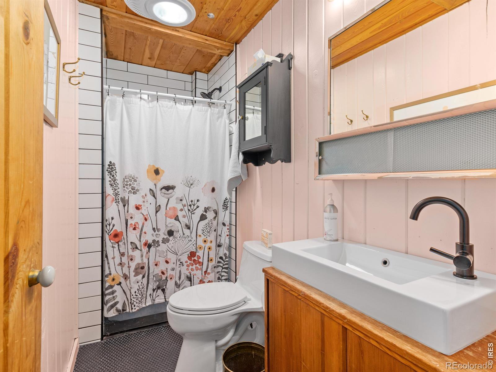 MLS Image #22 for 270 e ski road,allenspark, Colorado