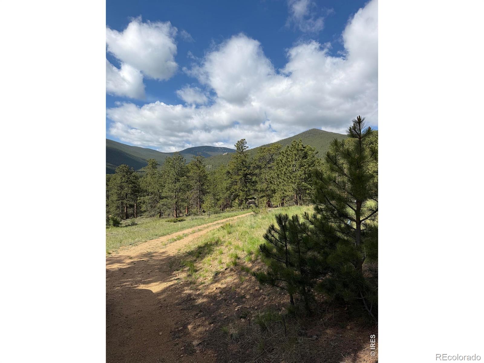MLS Image #28 for 270 e ski road,allenspark, Colorado