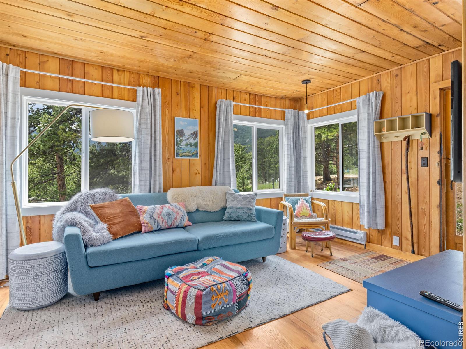 MLS Image #6 for 270 e ski road,allenspark, Colorado