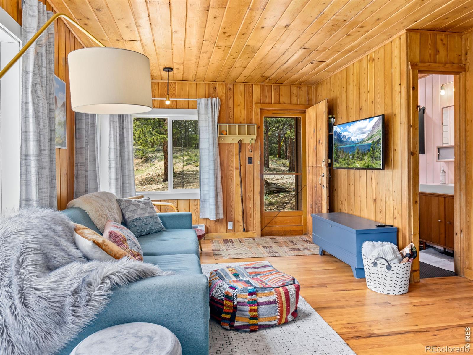 MLS Image #7 for 270 e ski road,allenspark, Colorado
