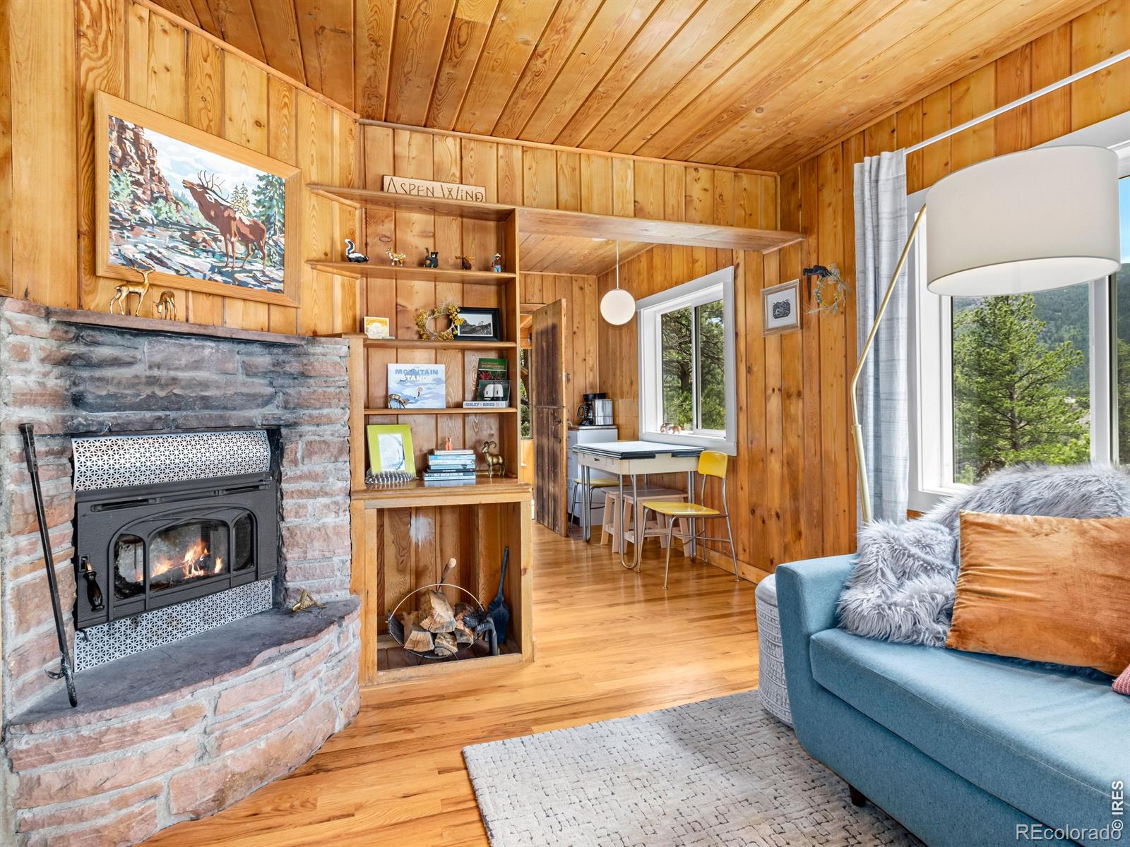 MLS Image #8 for 270 e ski road,allenspark, Colorado