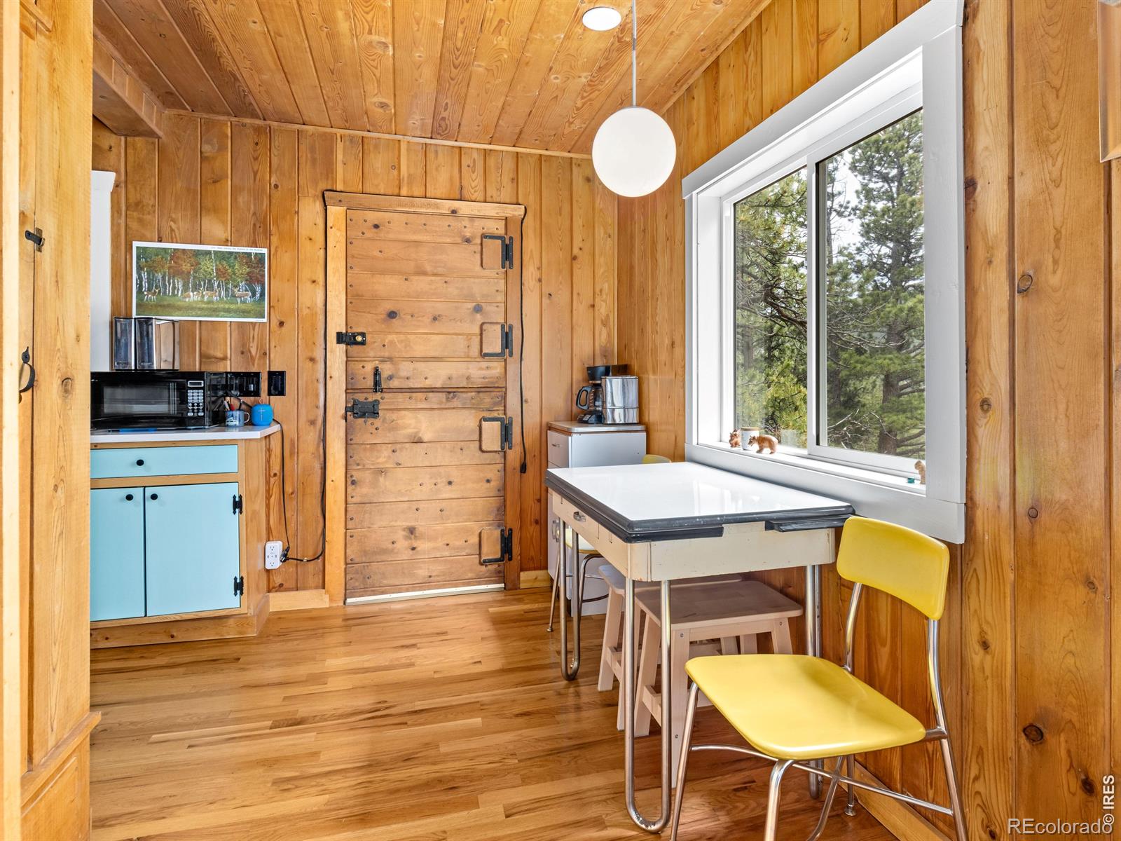 MLS Image #9 for 270 e ski road,allenspark, Colorado