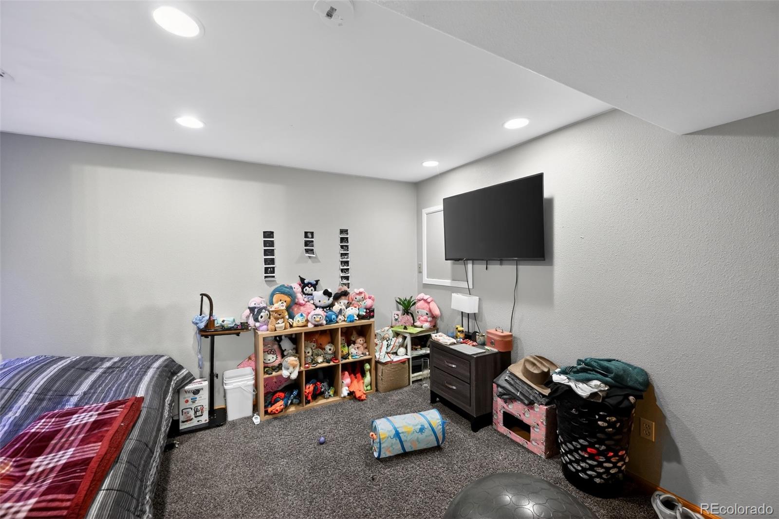 MLS Image #14 for 11610  crow hill drive,parker, Colorado