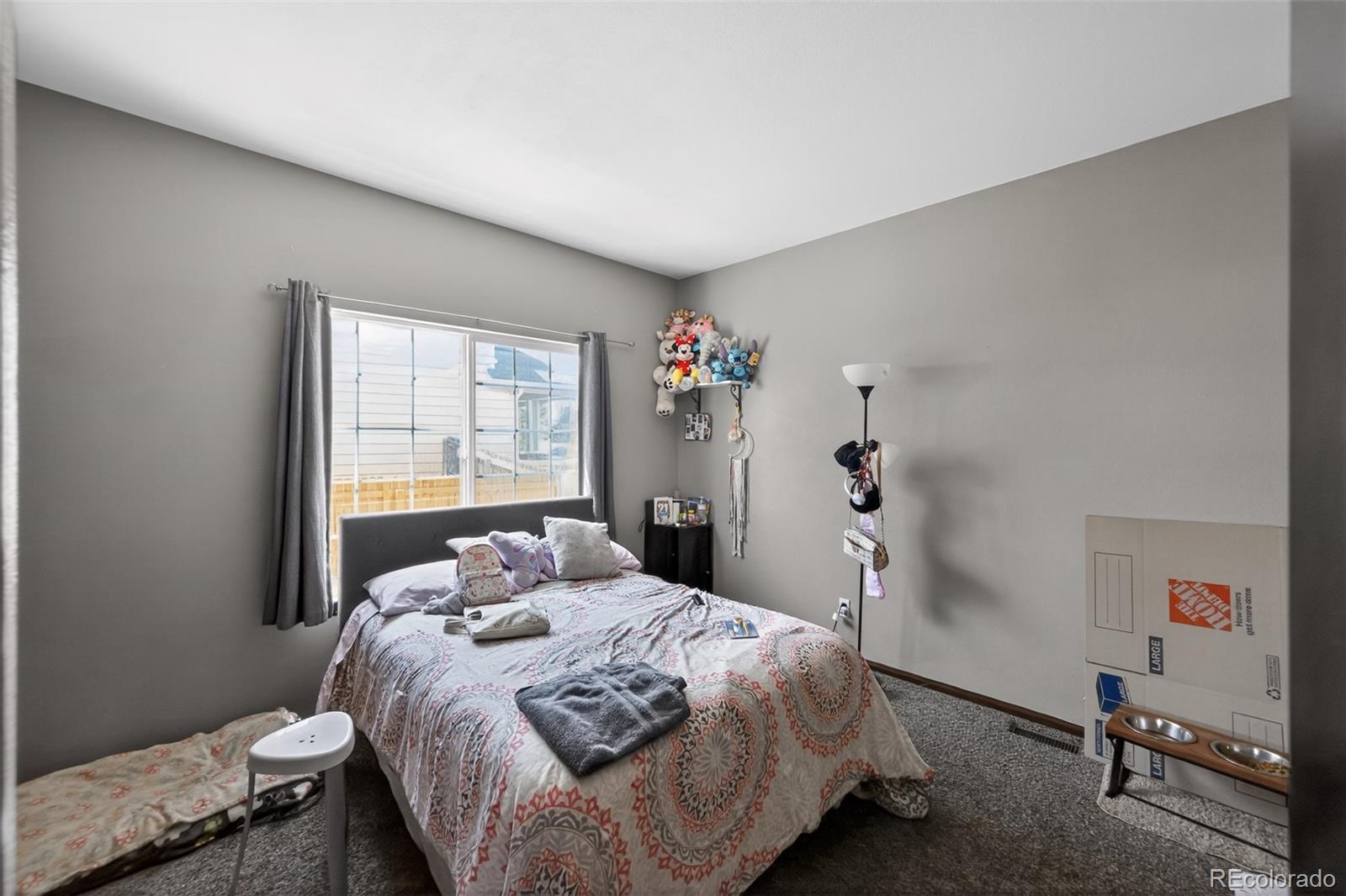 MLS Image #24 for 11610  crow hill drive,parker, Colorado