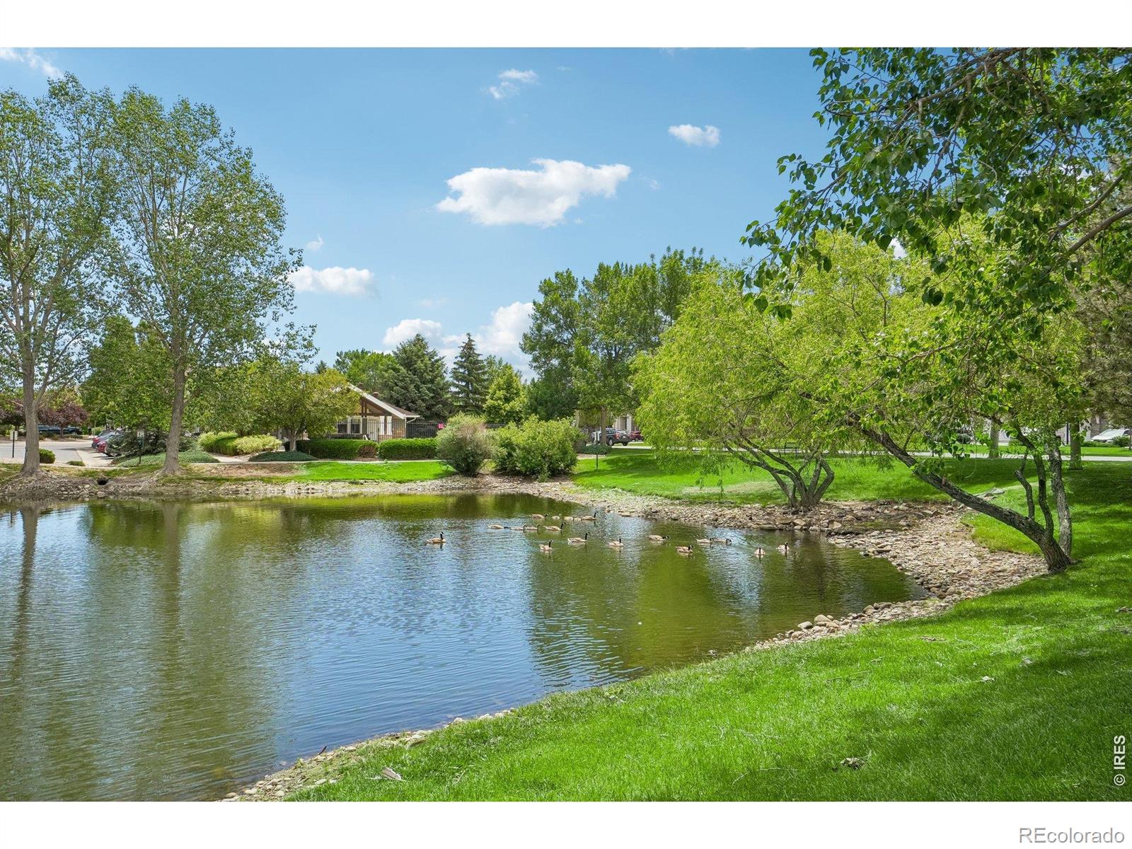 MLS Image #24 for 4715  hahns peak drive,loveland, Colorado