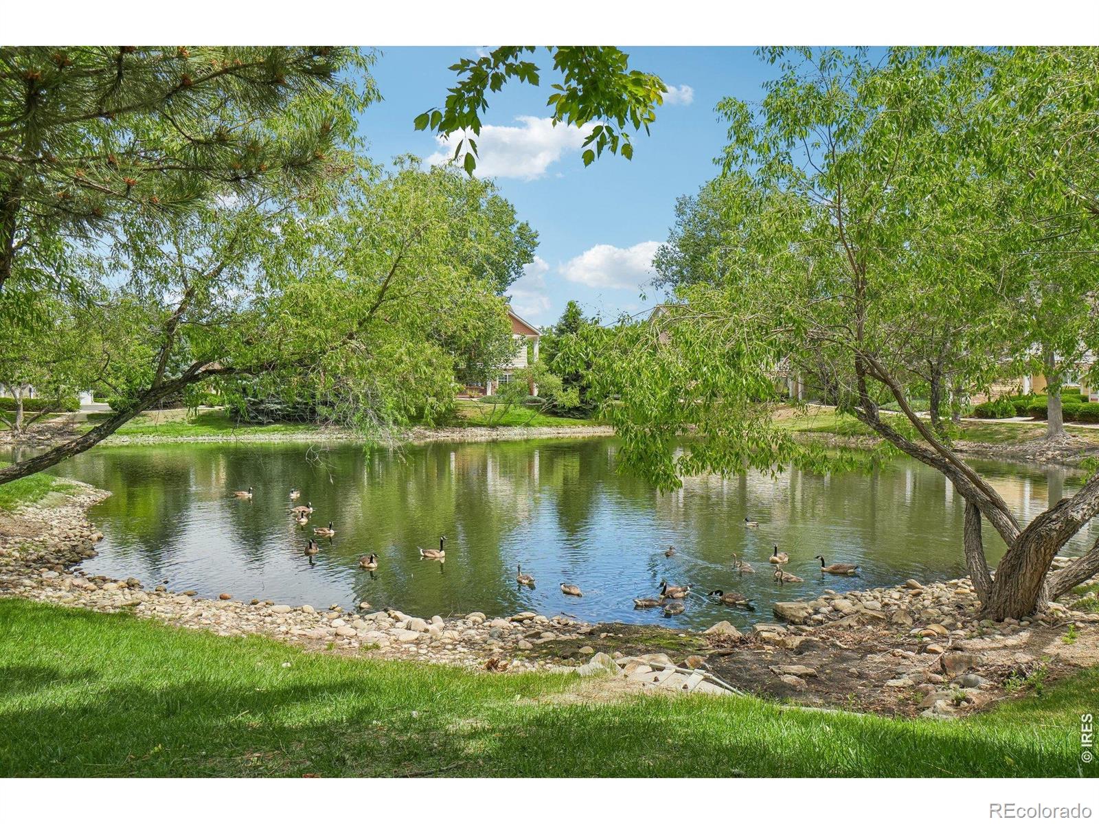 MLS Image #26 for 4715  hahns peak drive,loveland, Colorado