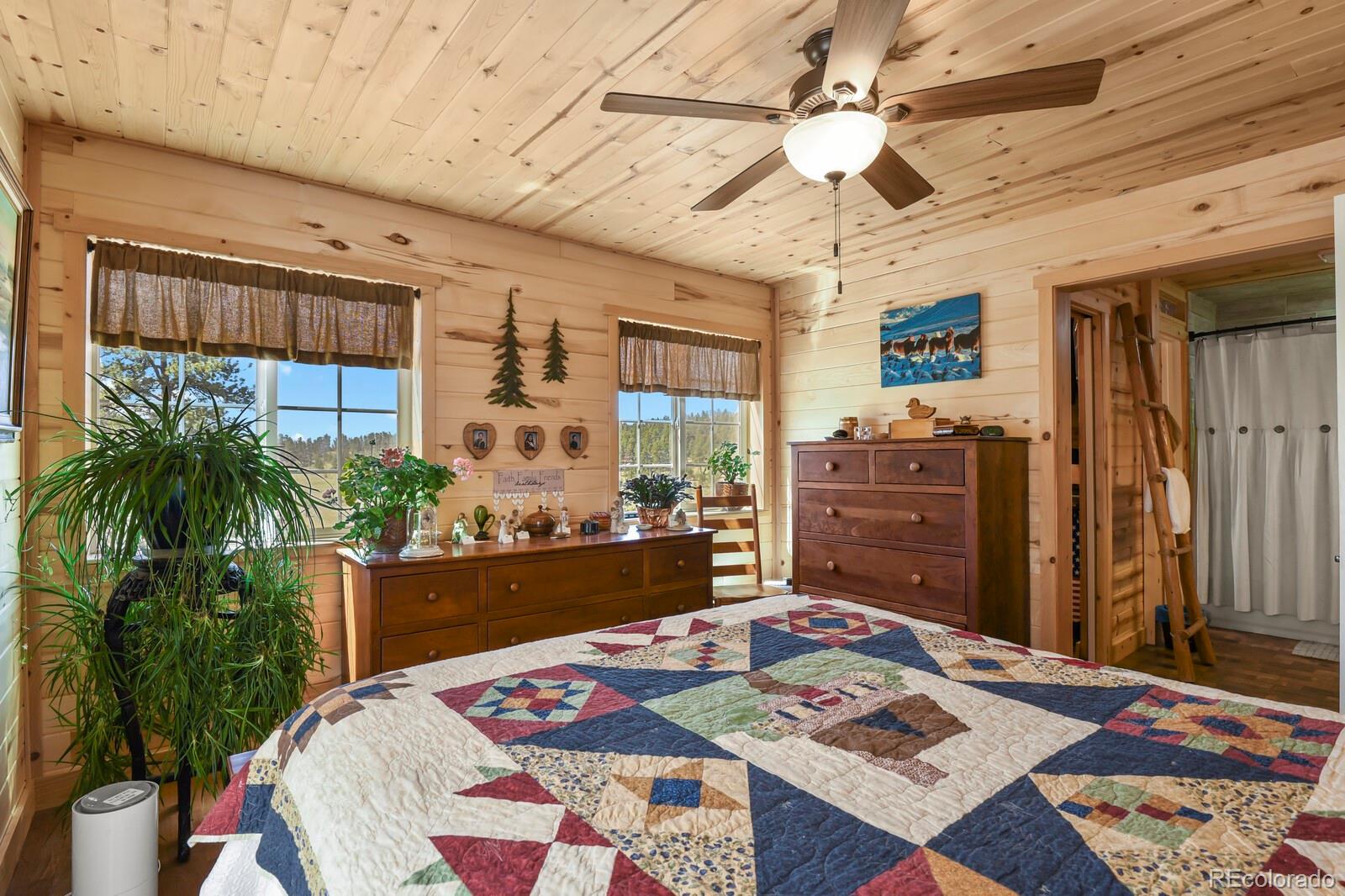 MLS Image #20 for 150  julia road,guffey, Colorado
