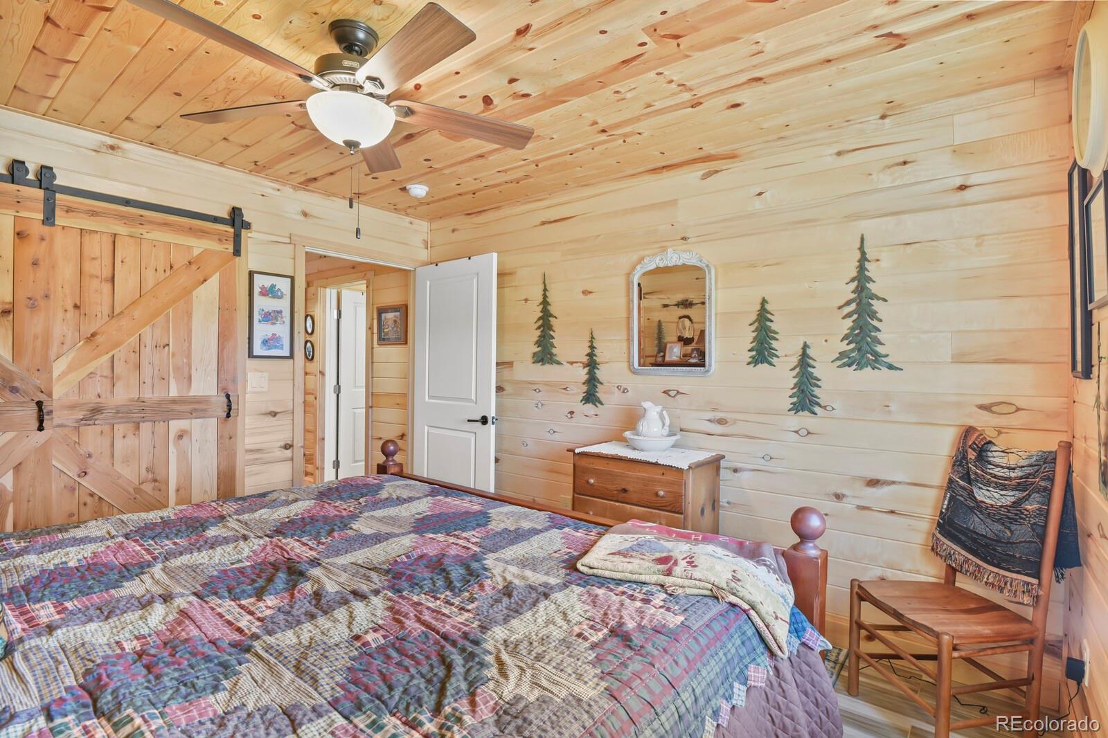MLS Image #26 for 150  julia road,guffey, Colorado