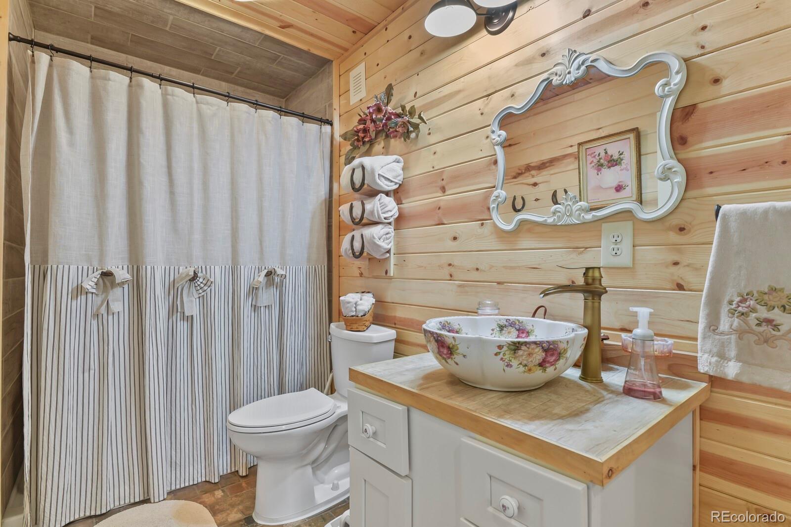 MLS Image #27 for 150  julia road,guffey, Colorado