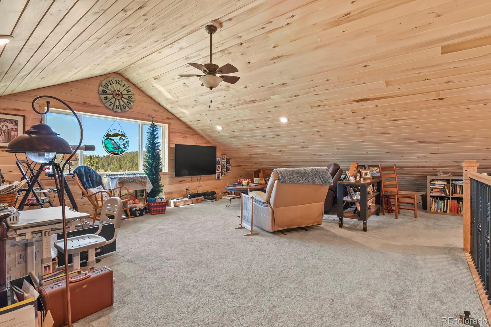 MLS Image #30 for 150  julia road,guffey, Colorado