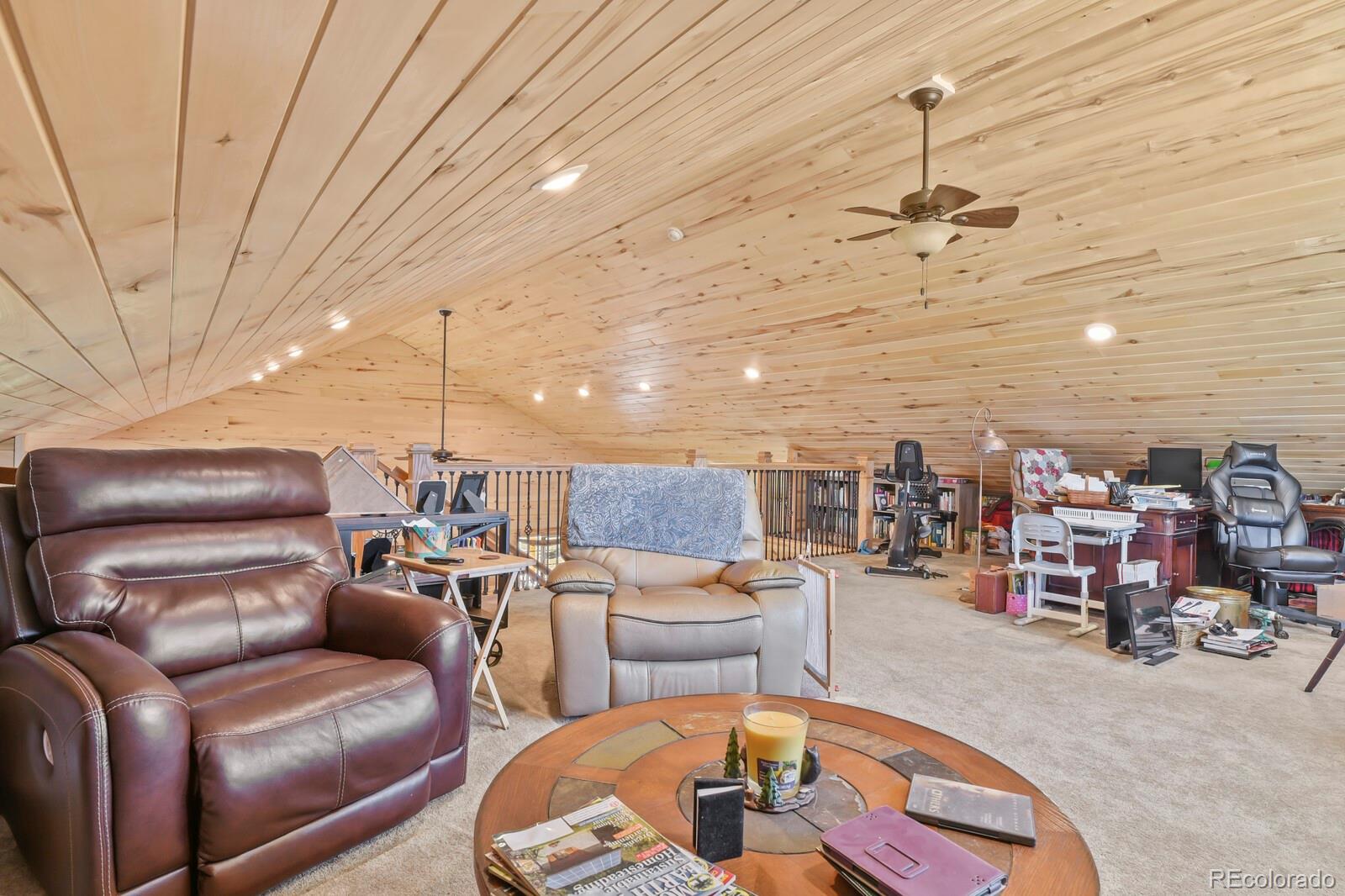 MLS Image #31 for 150  julia road,guffey, Colorado