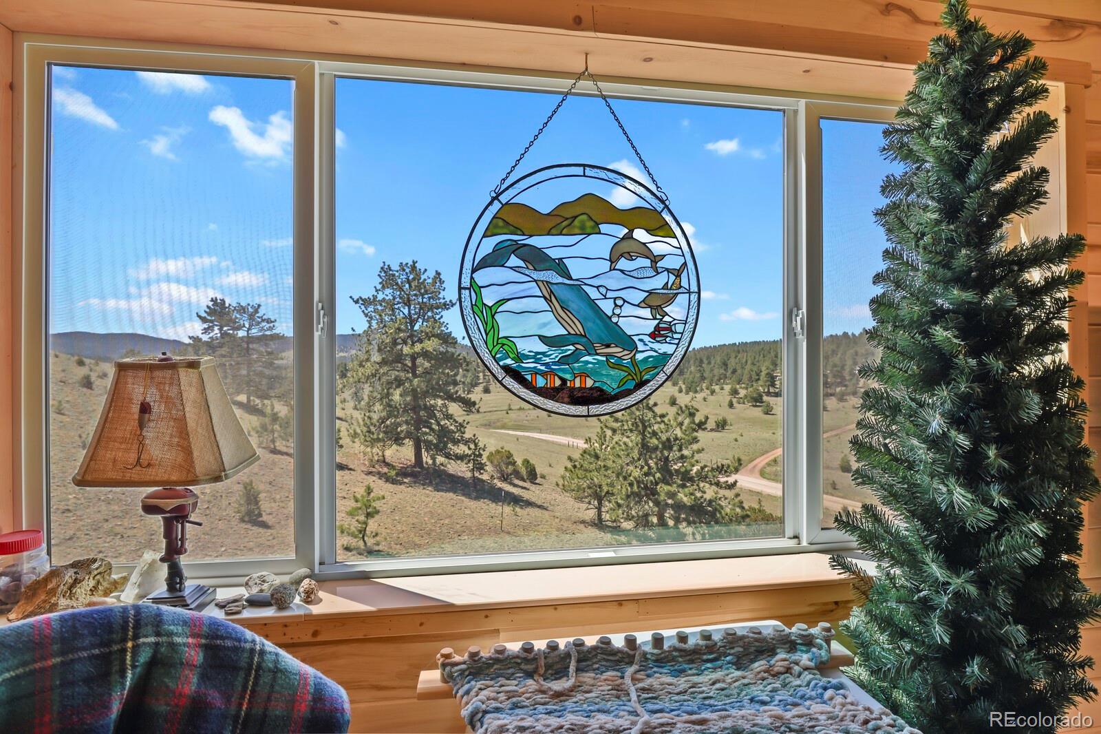 MLS Image #32 for 150  julia road,guffey, Colorado