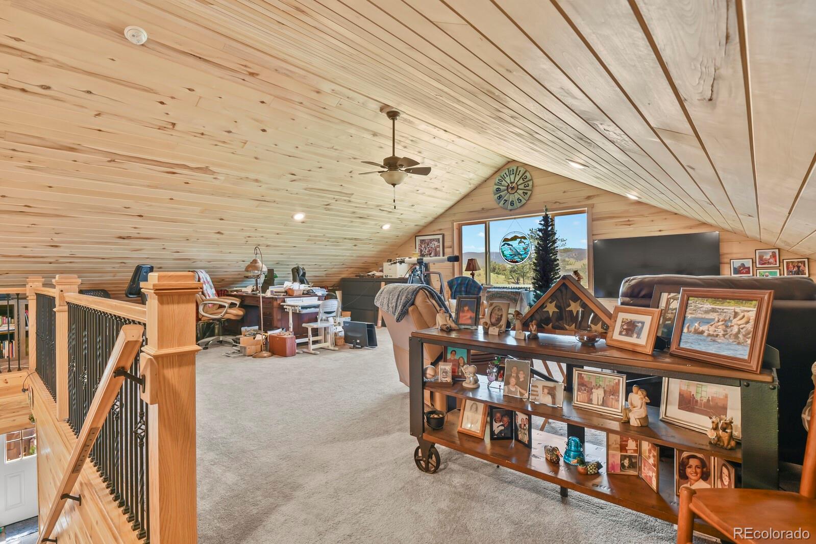 MLS Image #33 for 150  julia road,guffey, Colorado
