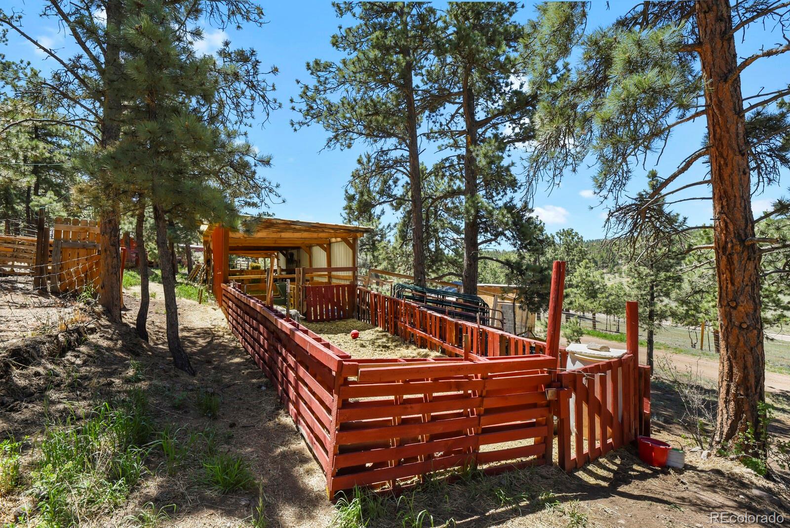 MLS Image #42 for 150  julia road,guffey, Colorado