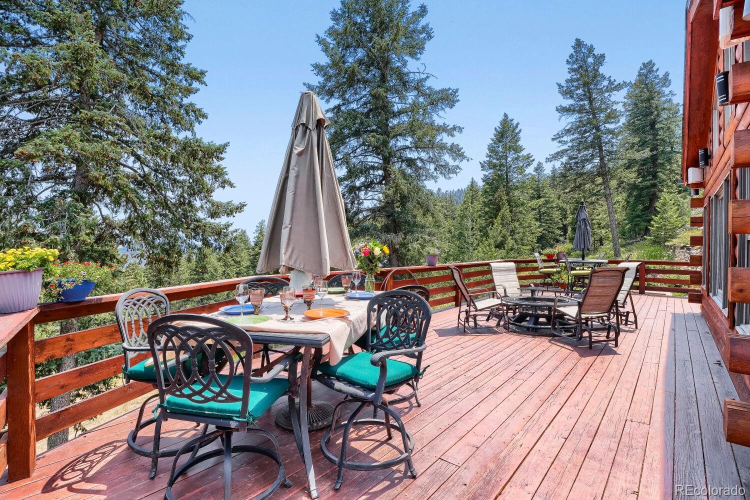 MLS Image #7 for 9208  yegge road,morrison, Colorado