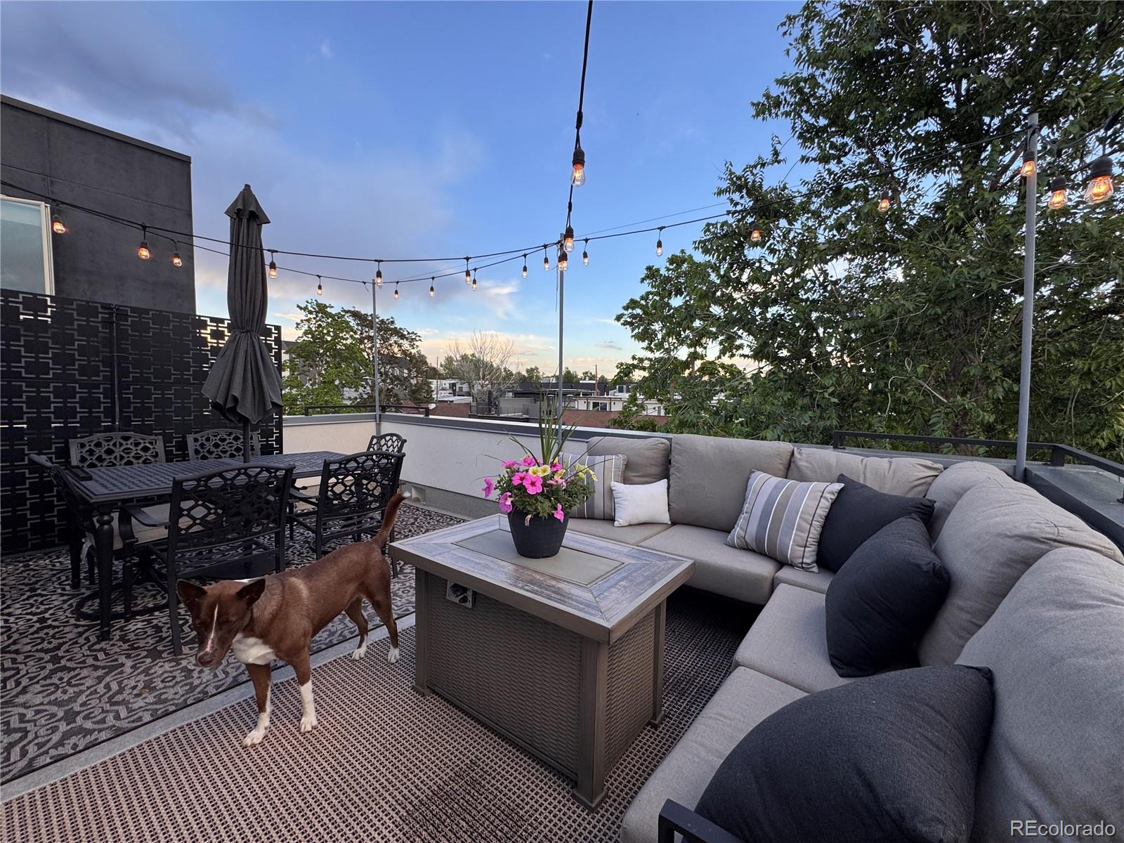 MLS Image #14 for 1227  osceola street,denver, Colorado
