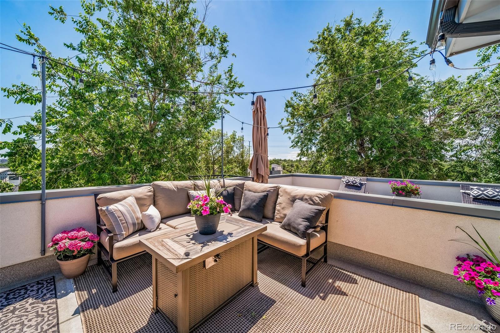 MLS Image #7 for 1227  osceola street,denver, Colorado