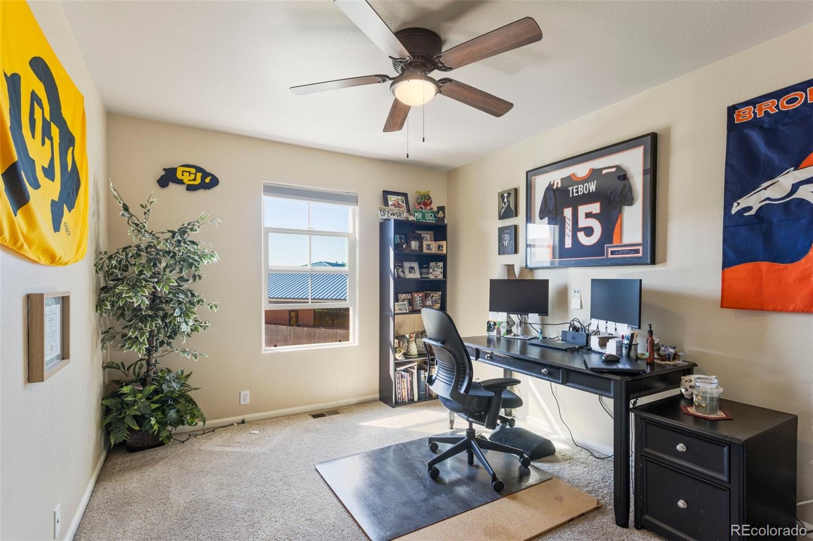 MLS Image #18 for 6034  sierra grande point,colorado springs, Colorado