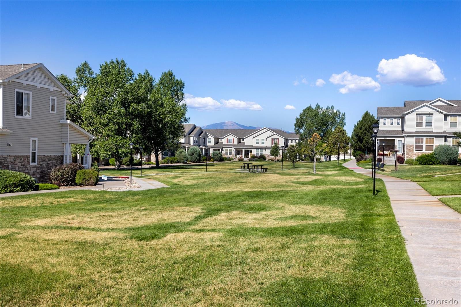 MLS Image #22 for 6034  sierra grande point,colorado springs, Colorado