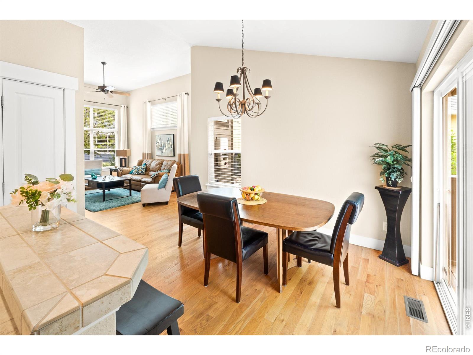 MLS Image #10 for 4113  plum creek drive,loveland, Colorado