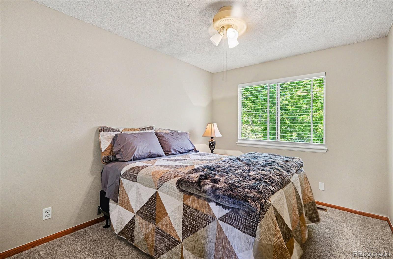 MLS Image #14 for 5462 s jericho way,centennial, Colorado