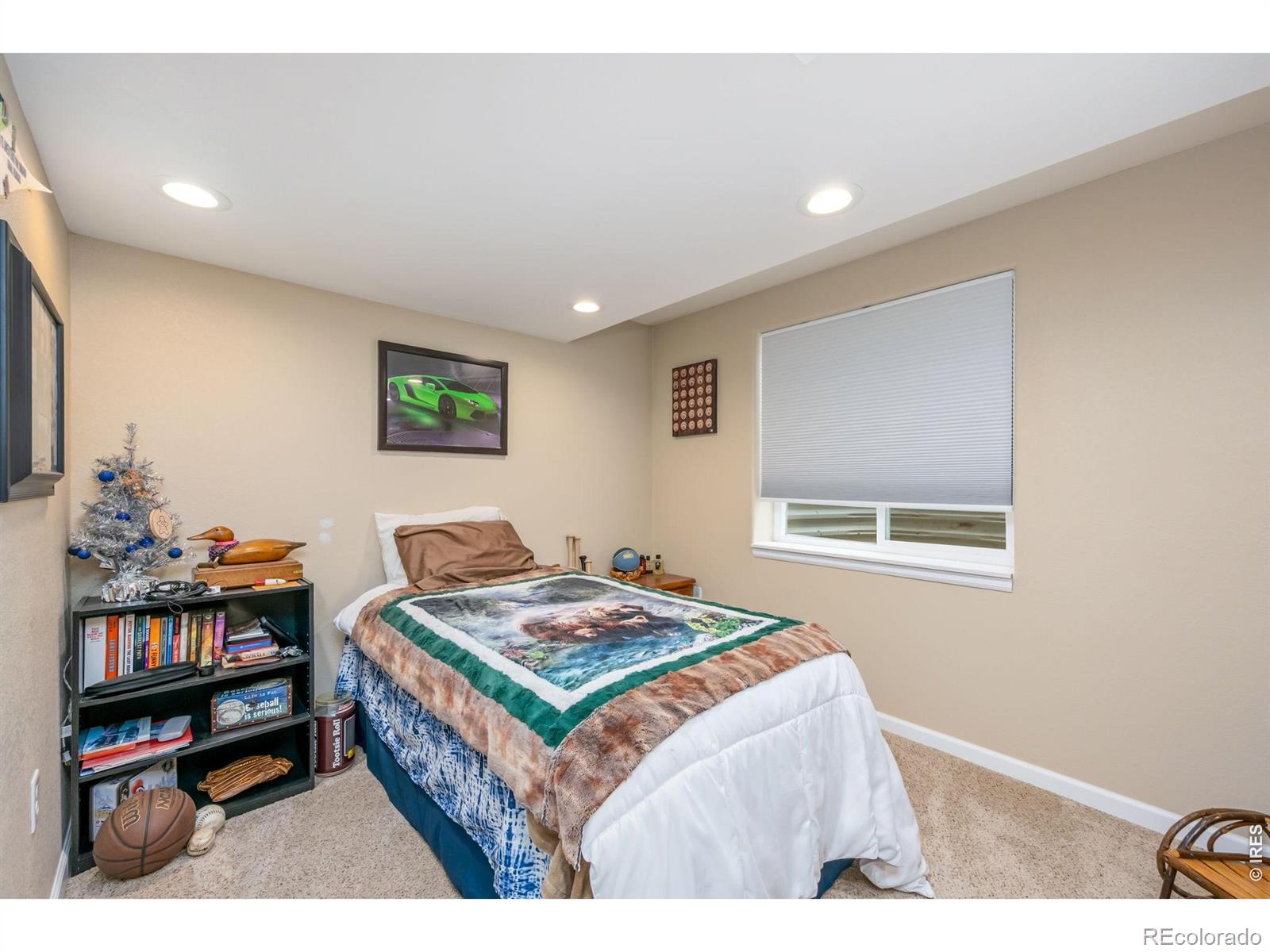 MLS Image #20 for 213  sand grouse drive,loveland, Colorado