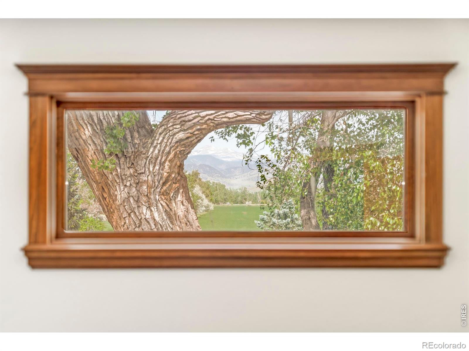 MLS Image #32 for 7410 n 83rd street,niwot, Colorado