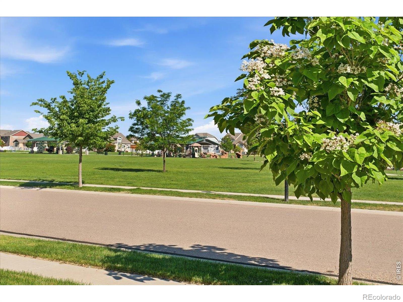 MLS Image #5 for 617  gore range drive,severance, Colorado