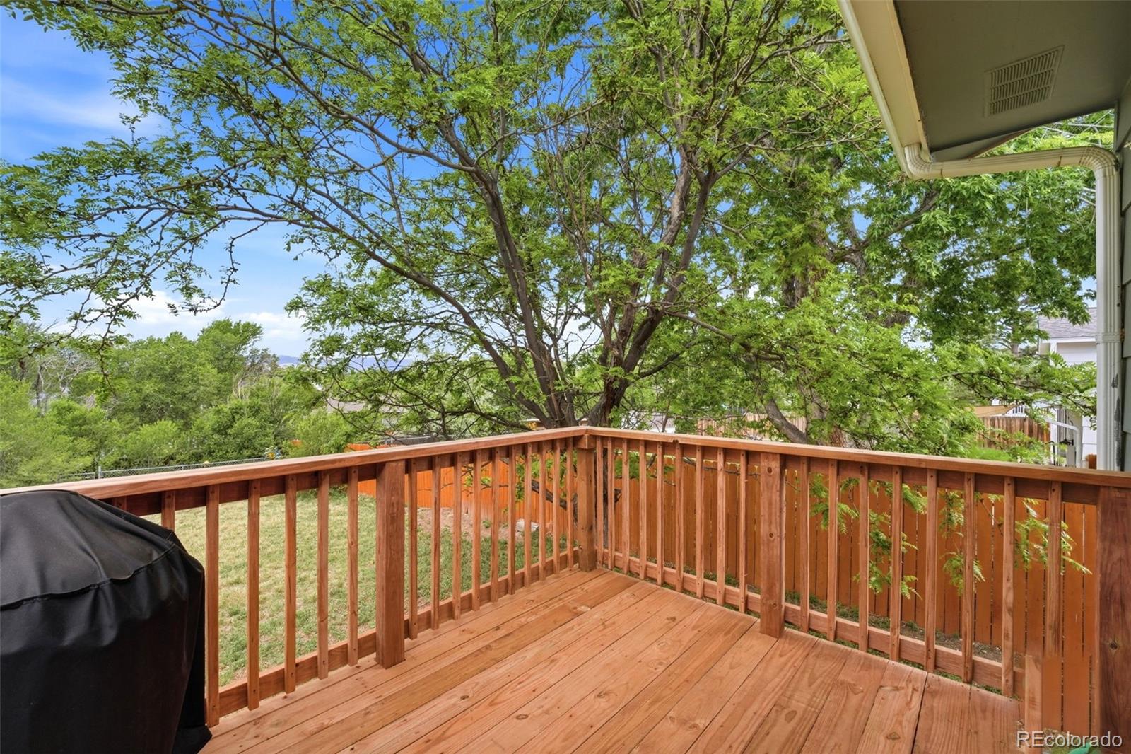 MLS Image #28 for 1374  nokomis drive,colorado springs, Colorado
