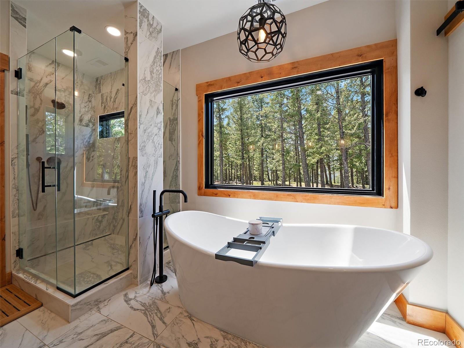 MLS Image #17 for 4989 s elk ridge road,evergreen, Colorado