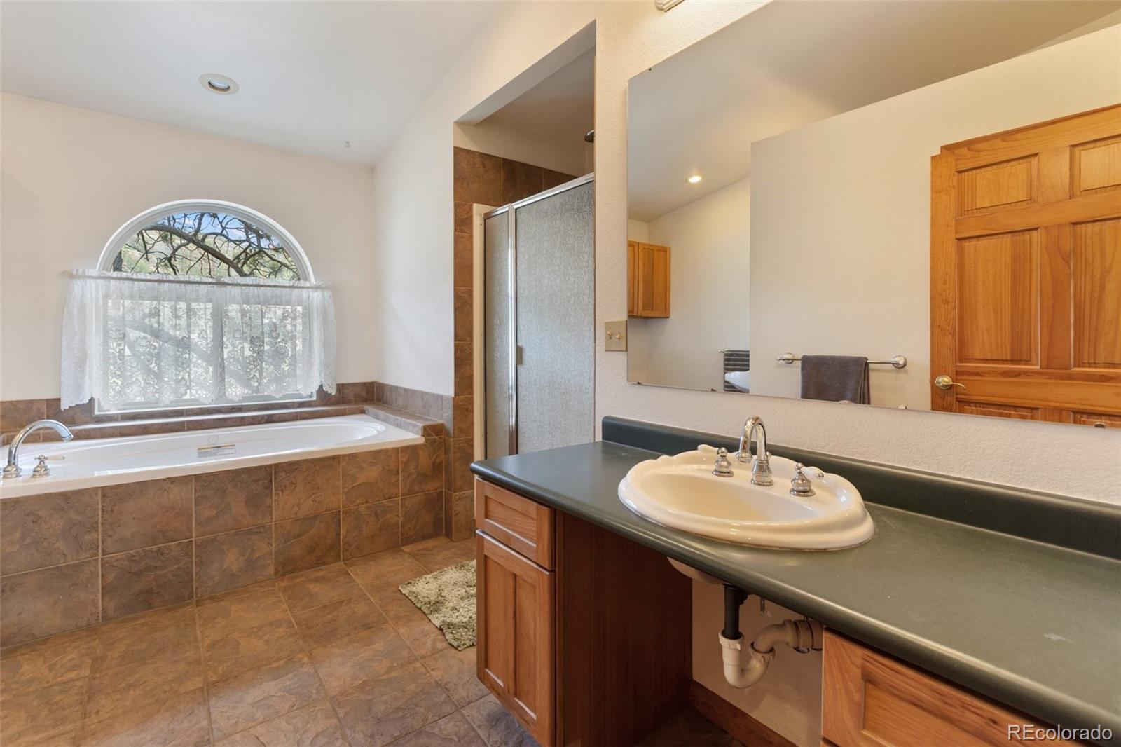 MLS Image #20 for 2401  lakemoor ,florissant, Colorado