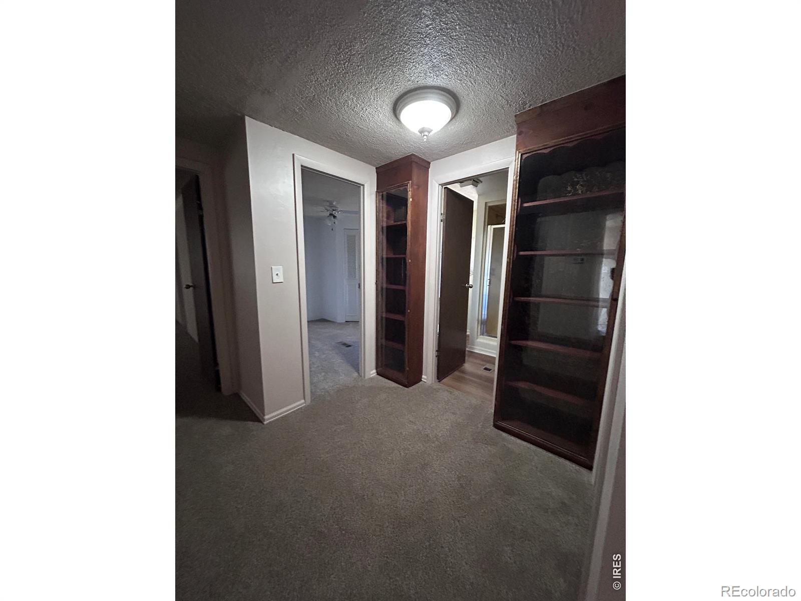 MLS Image #18 for 114  linden drive,log lane village, Colorado