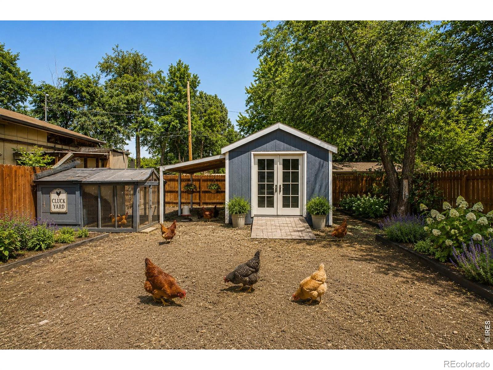 MLS Image #34 for 1513 e 4th street,loveland, Colorado