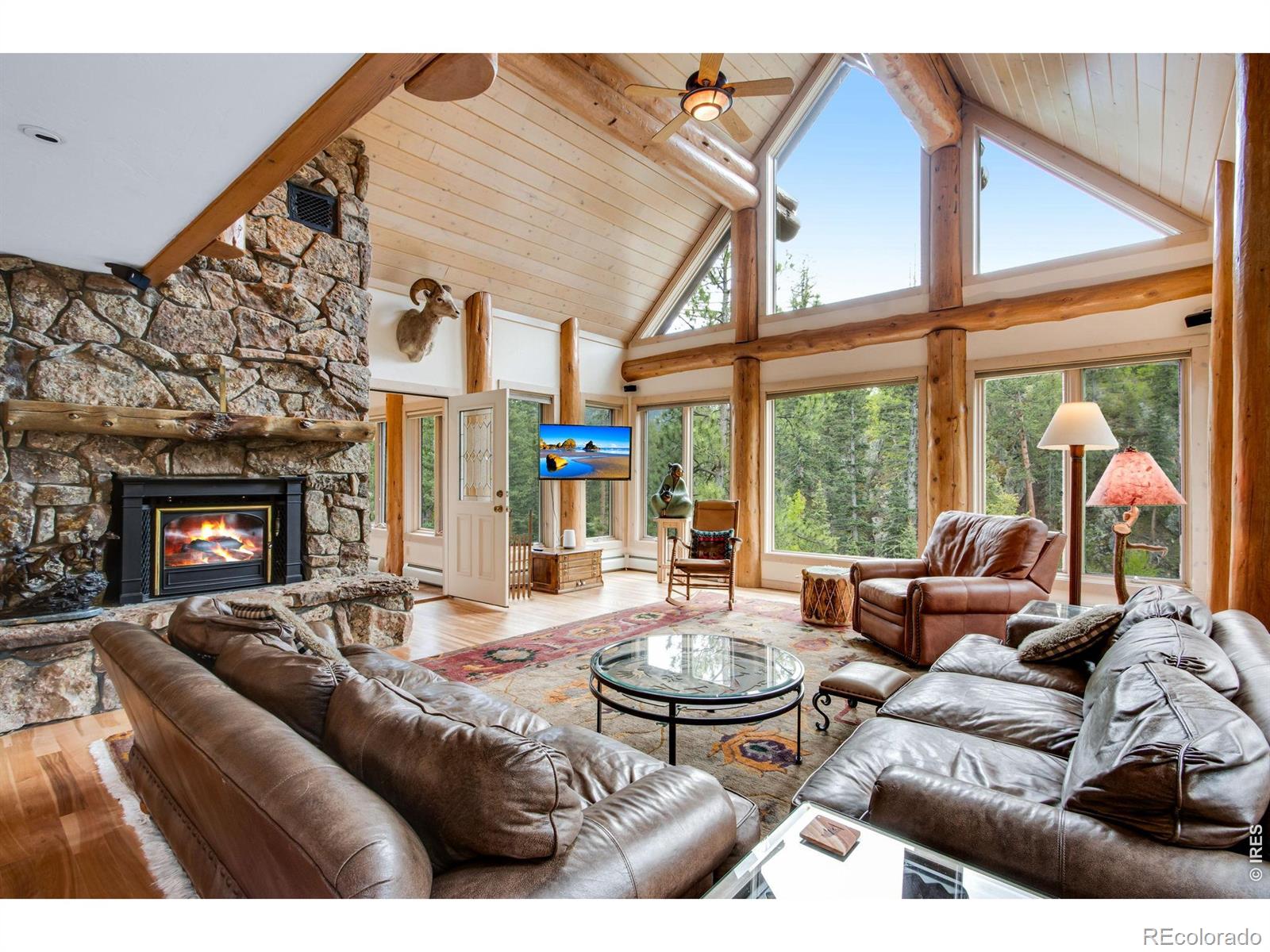 MLS Image #14 for 59  high point drive,glen haven, Colorado