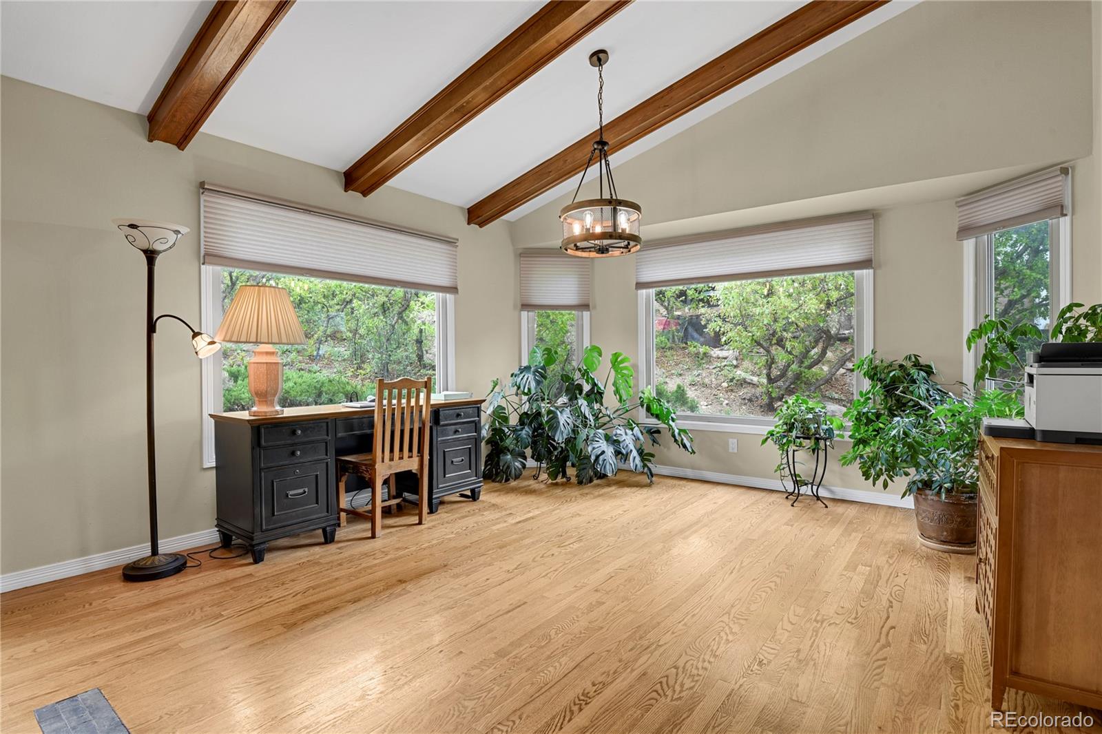 MLS Image #4 for 420  royal oak drive,colorado springs, Colorado