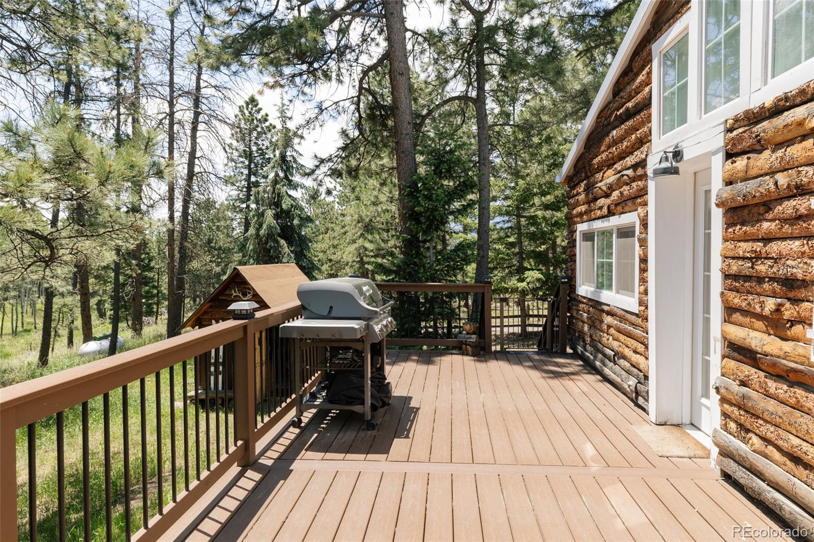 MLS Image #20 for 6744  marshmerry lane,evergreen, Colorado