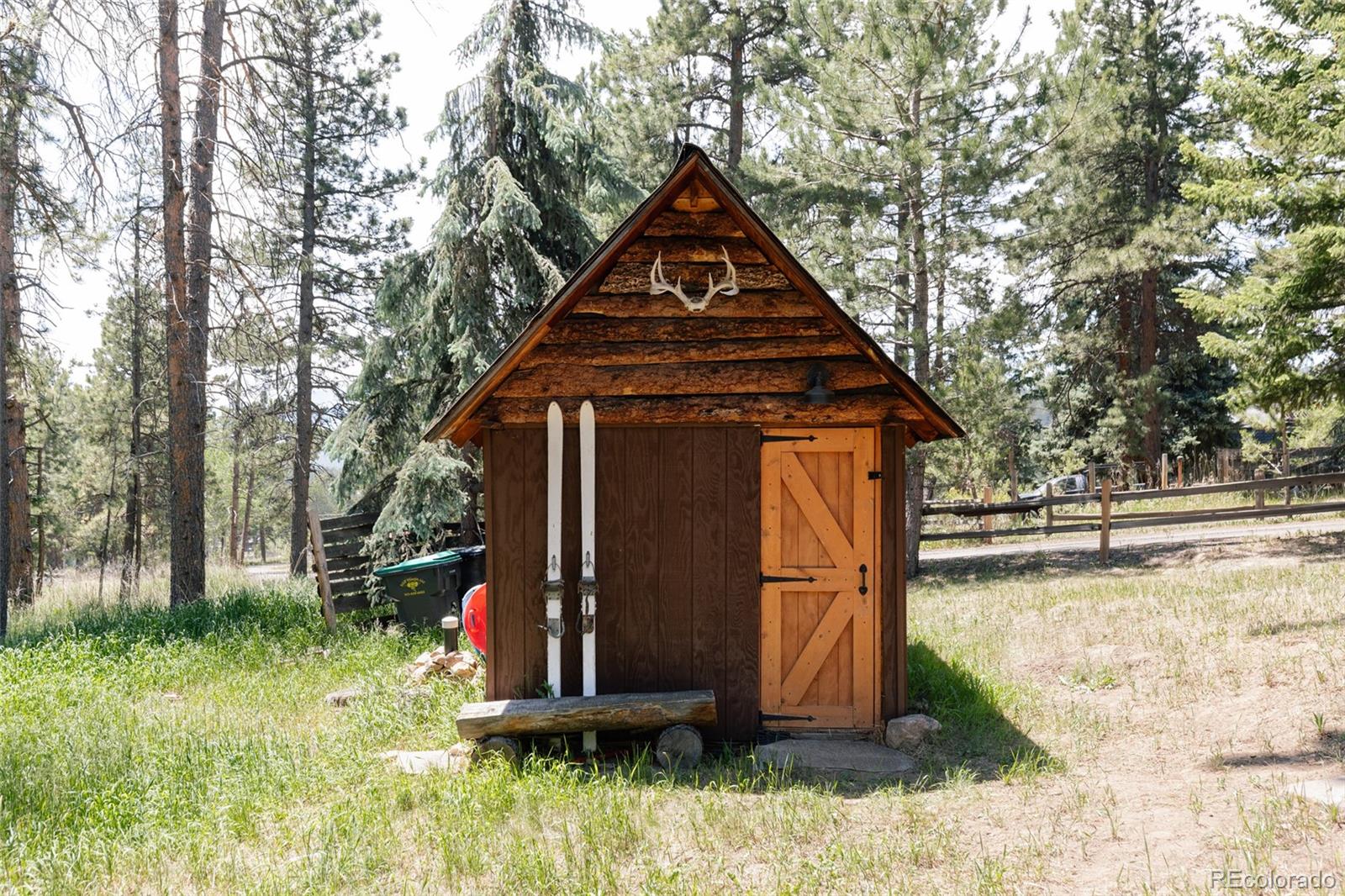 MLS Image #21 for 6744  marshmerry lane,evergreen, Colorado