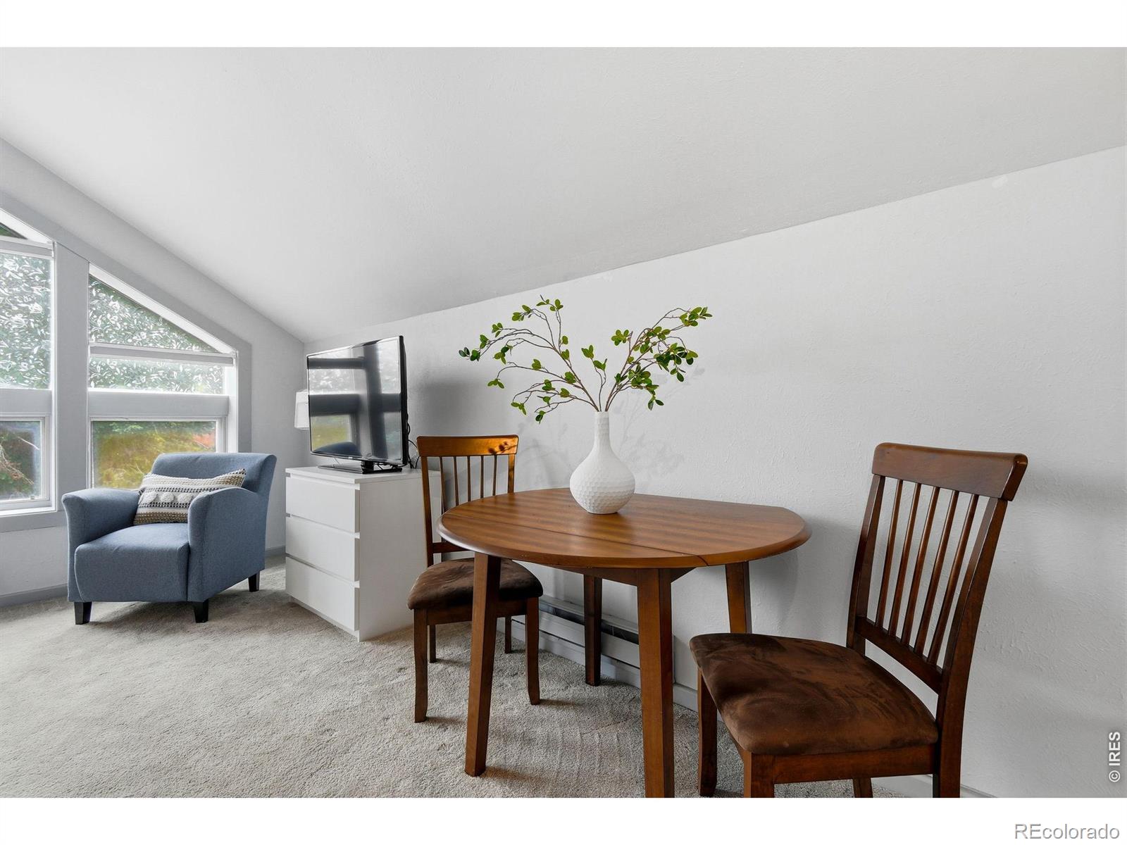 MLS Image #23 for 616  pine street,boulder, Colorado
